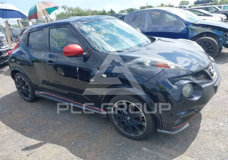 2013 Nissan Juke photo