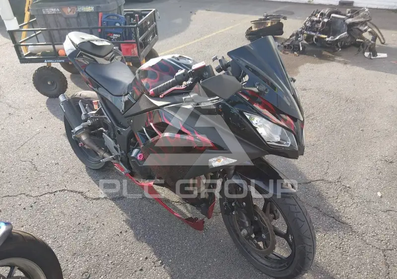 2013 Kawasaki EX300 фото