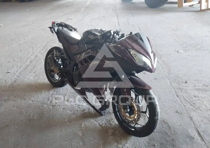 2013 Kawasaki EX300 фото