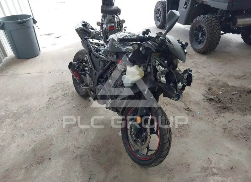 2013 Kawasaki EX300 фото