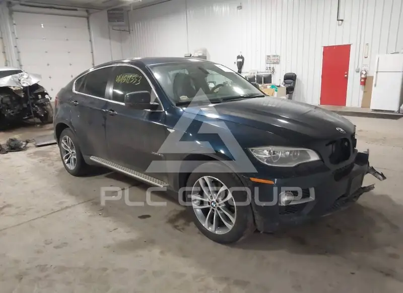 2013 BMW X6 photo