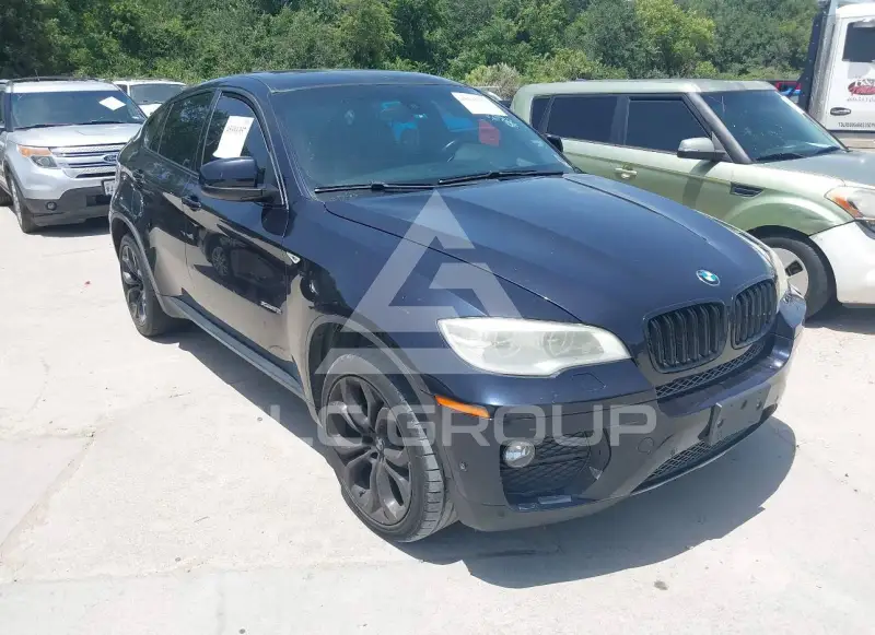 2013 BMW X6 photo