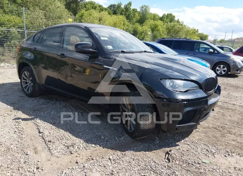 2013 BMW X6 photo
