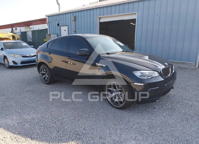 2013 BMW X6 фото