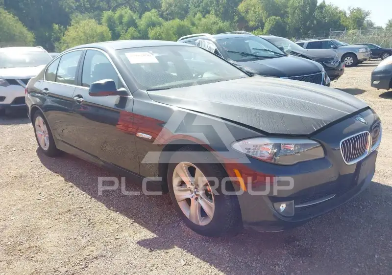 2013 BMW 528 фото