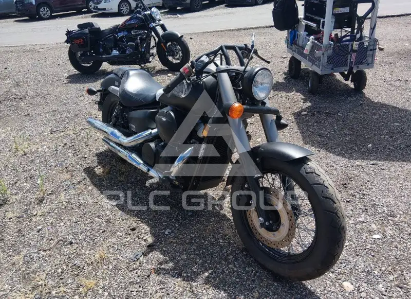 2013 Honda VT750 photo
