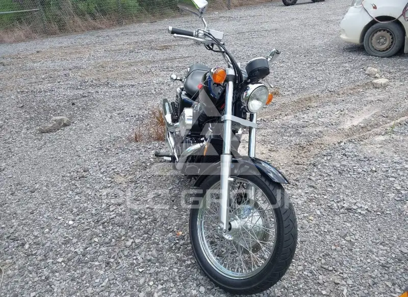2013 Honda VT750 photo