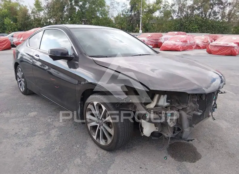 2013 Honda Accord photo