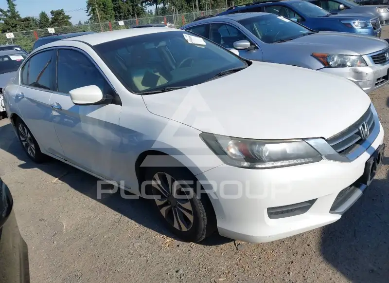 2013 Honda Accord photo