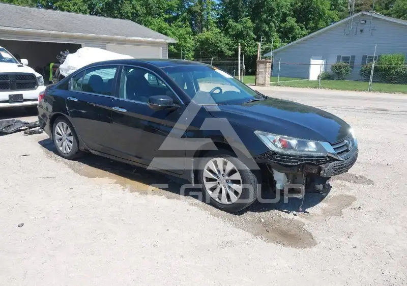 2013 Honda Accord photo