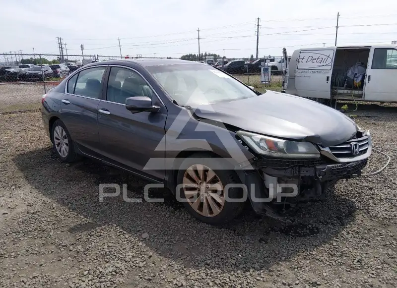 2013 Honda Accord photo