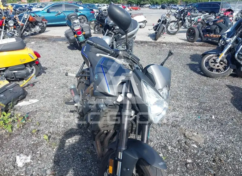 2013 Yamaha FZ8 фото
