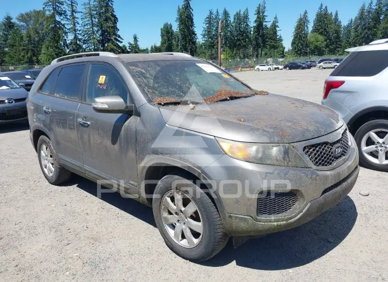 2013 KIA Sorento photo