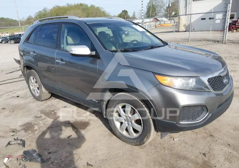 2013 KIA Sorento фото
