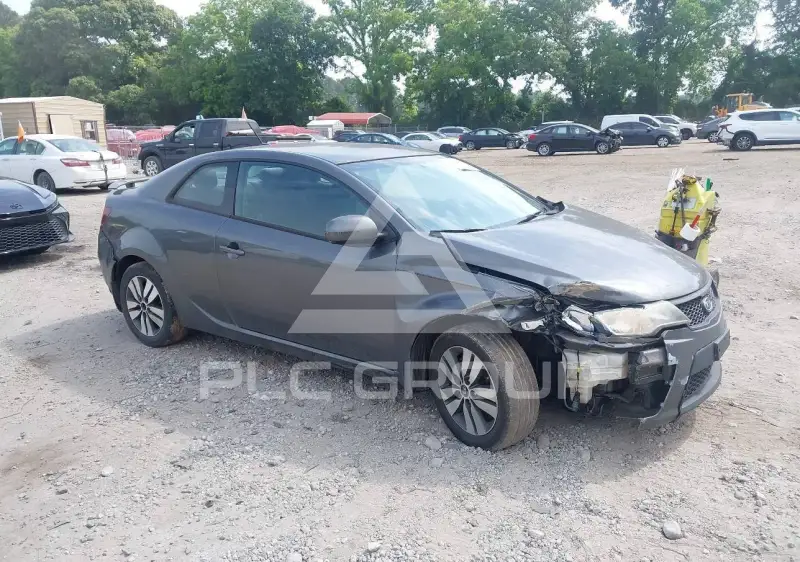 2013 KIA Forte photo