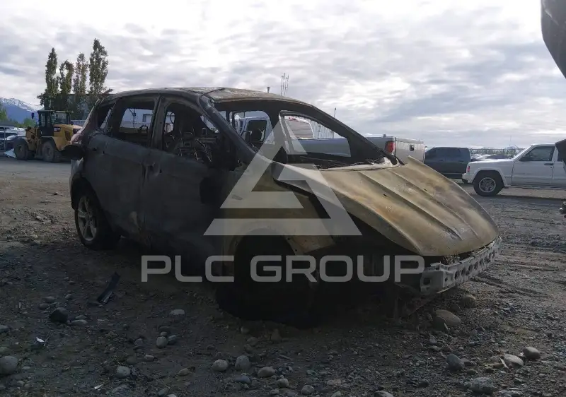 2013 Ford ESCAPE photo