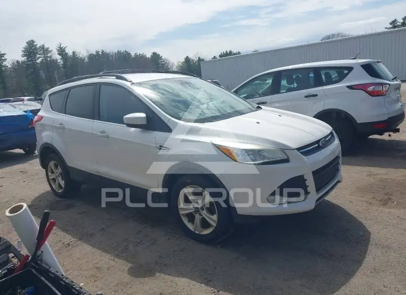 2013 Ford ESCAPE photo