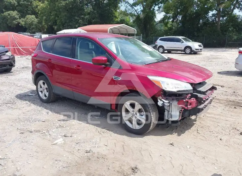 2013 Ford ESCAPE photo