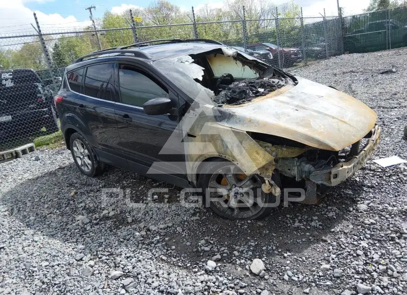 2013 Ford ESCAPE photo