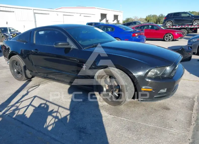 2013 Ford MUSTANG фото