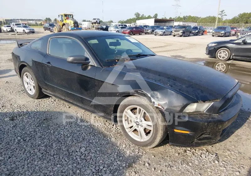 2013 Ford MUSTANG photo