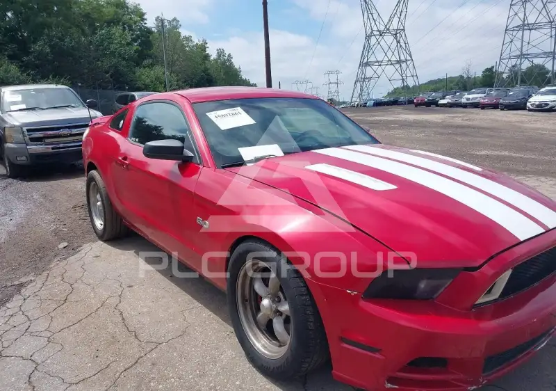 2013 Ford MUSTANG photo
