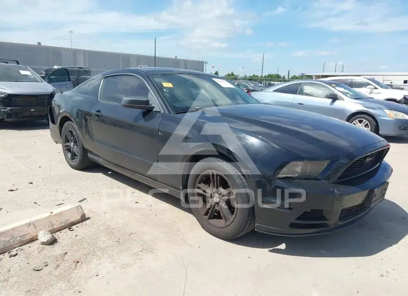 2013 Ford MUSTANG фото