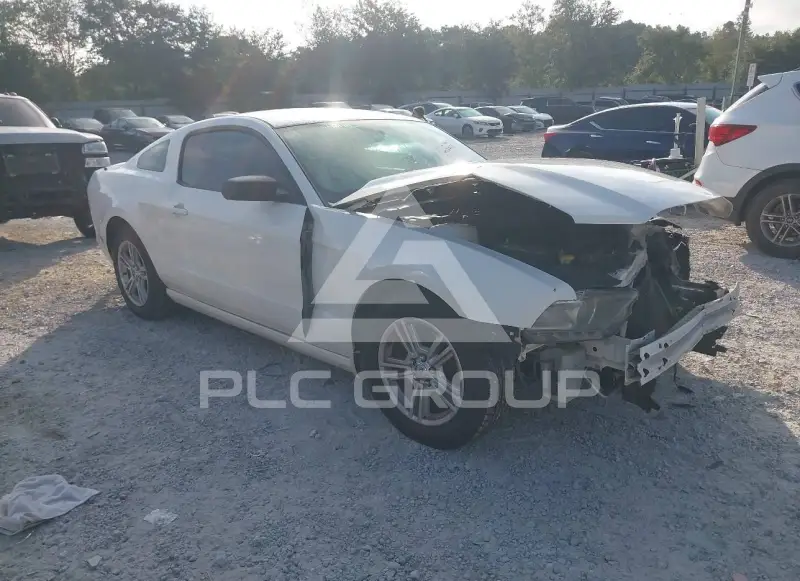 2013 Ford MUSTANG фото
