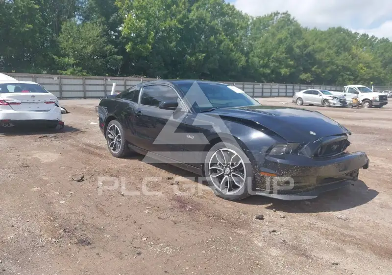 2013 Ford MUSTANG фото