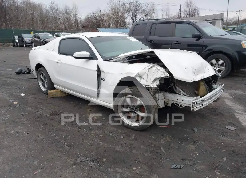 2013 Ford MUSTANG photo