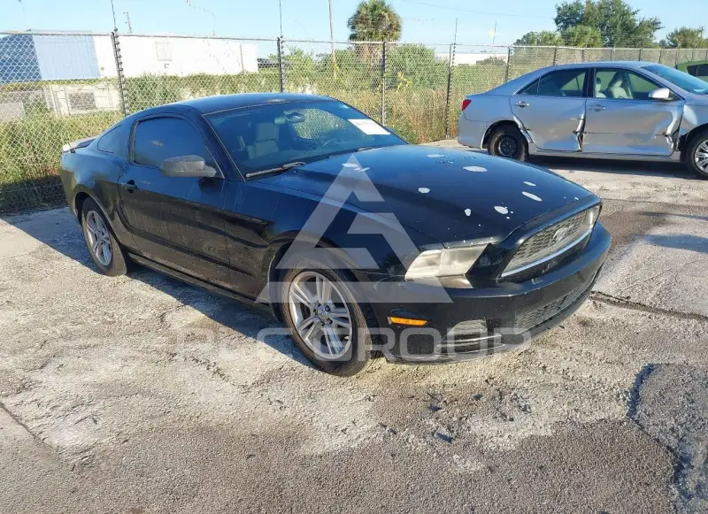 2013 Ford MUSTANG photo