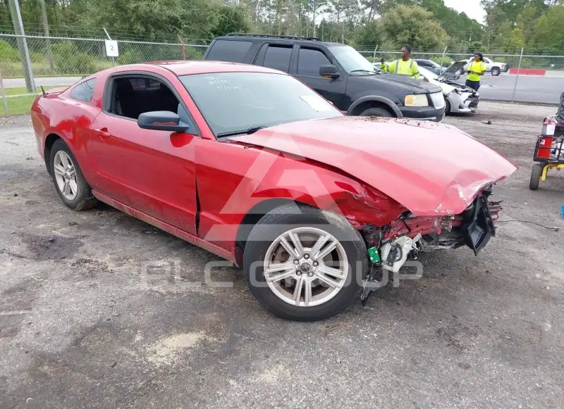 2013 Ford MUSTANG фото