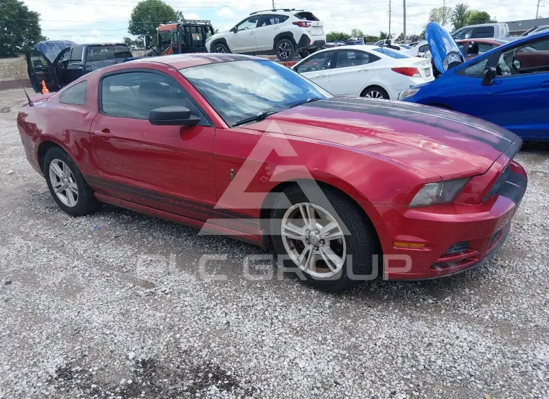 2013 Ford MUSTANG фото