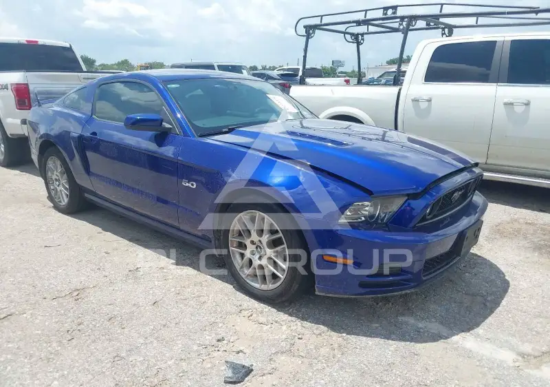 2013 Ford MUSTANG photo