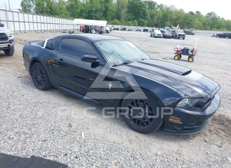 2013 Ford MUSTANG фото