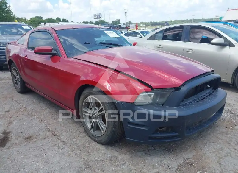 2013 Ford MUSTANG фото