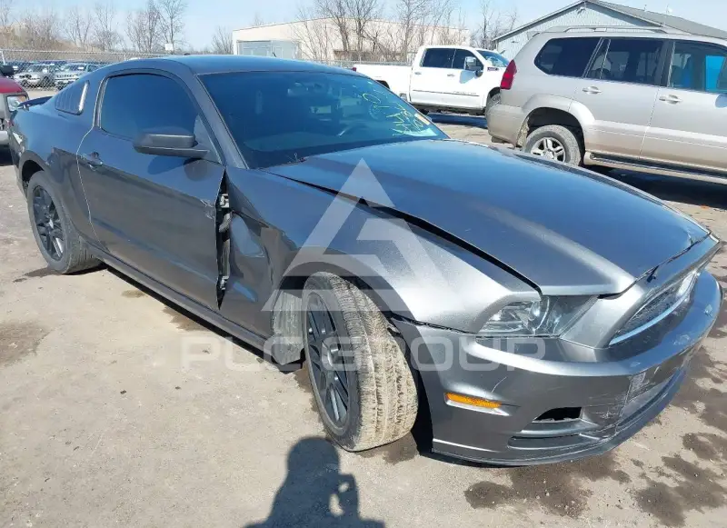 2013 Ford MUSTANG фото