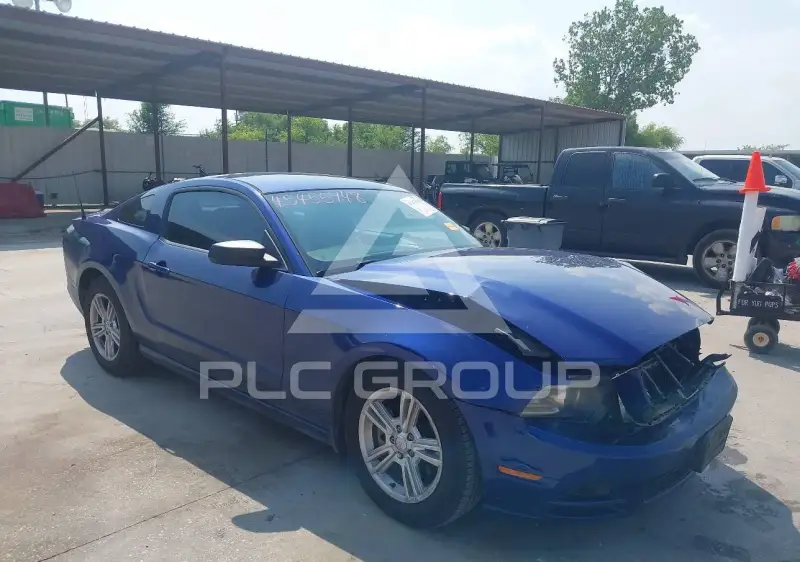 2013 Ford MUSTANG фото