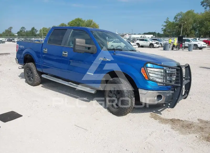 2013 Ford F-150 photo