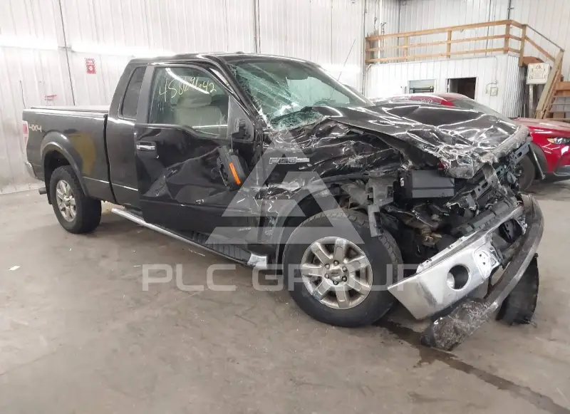 2013 Ford F-150 photo