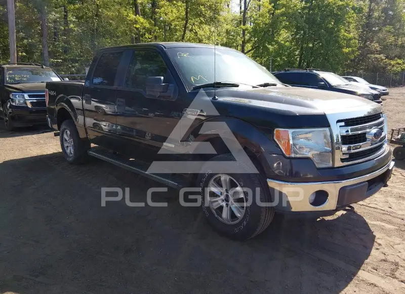 2013 Ford F-150 photo