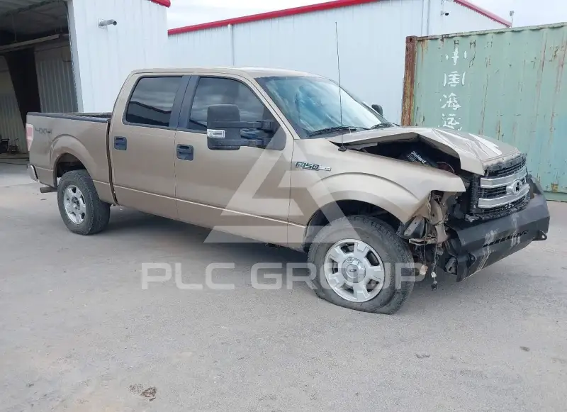 2013 Ford F-150 фото