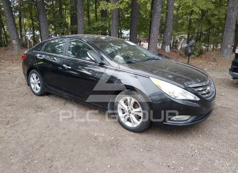 2013 Hyundai Sonata фото