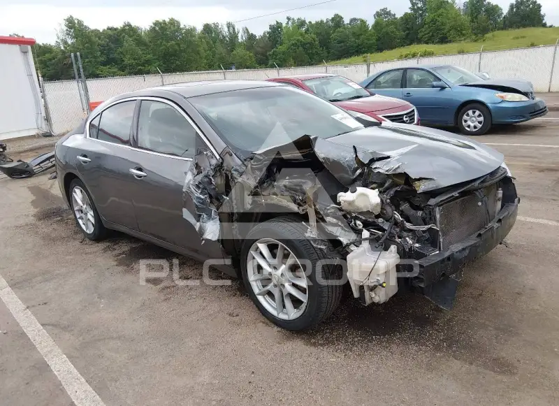 2014 Nissan MAXIMA photo