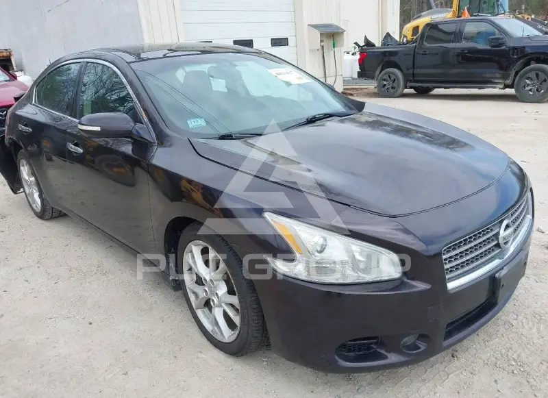 2014 Nissan MAXIMA photo