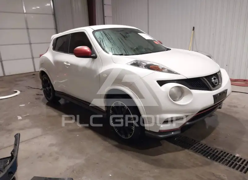 2014 Nissan Juke photo
