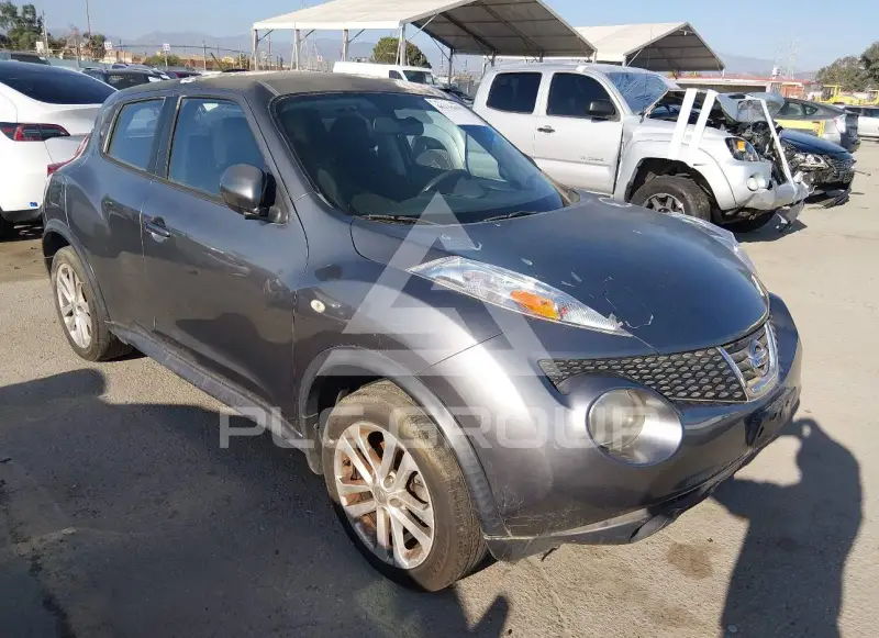 2014 Nissan Juke photo