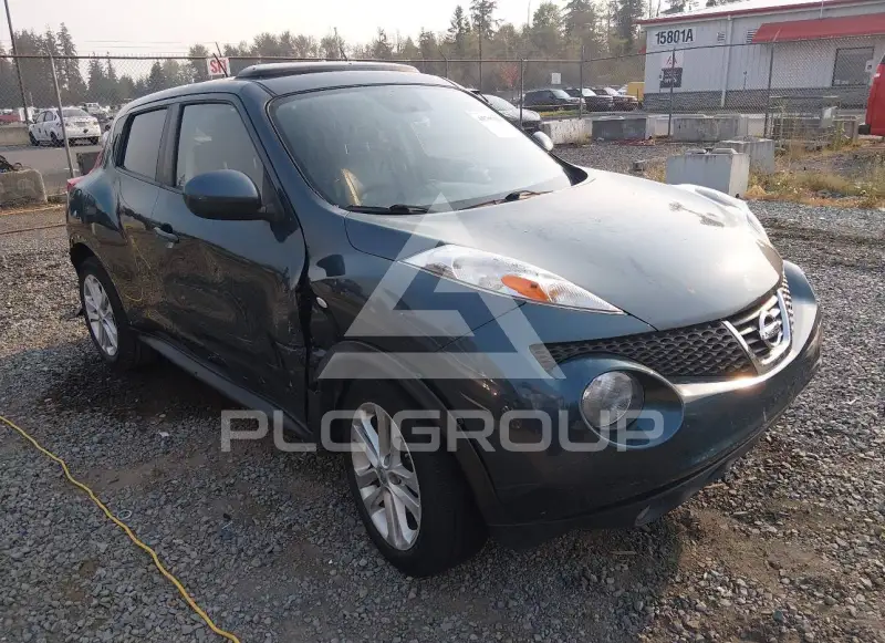 2014 Nissan Juke photo