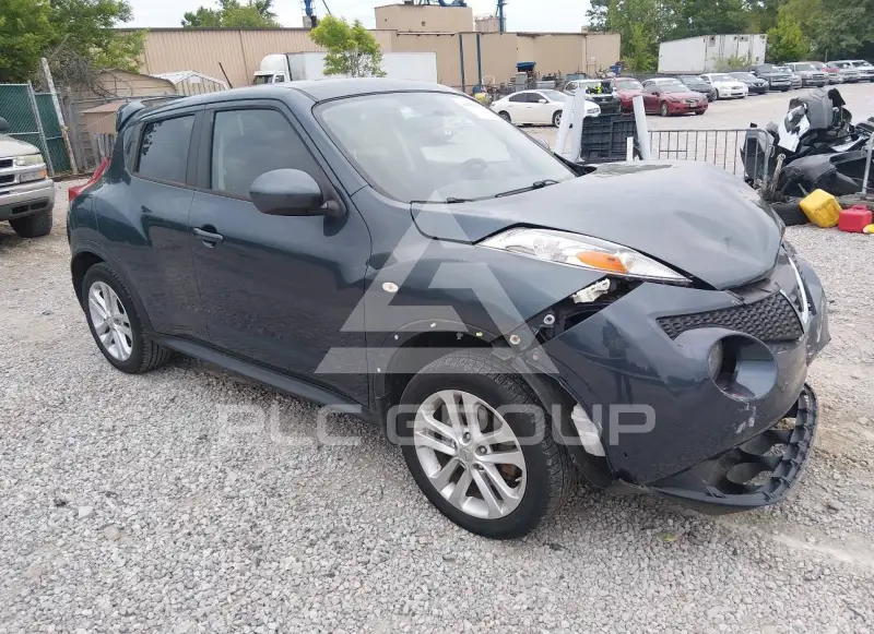2014 Nissan Juke photo