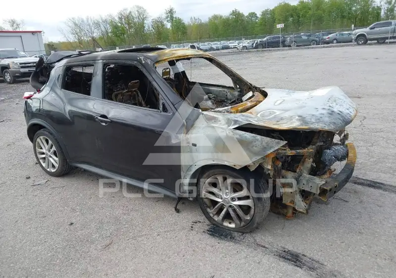 2014 Nissan Juke фото
